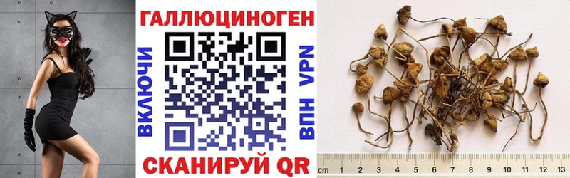 Галлюциногенные грибы прущие грибы  Воткинск 