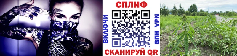 где продают наркотики  сайты даркнета клад  Конопля индика  Воткинск 